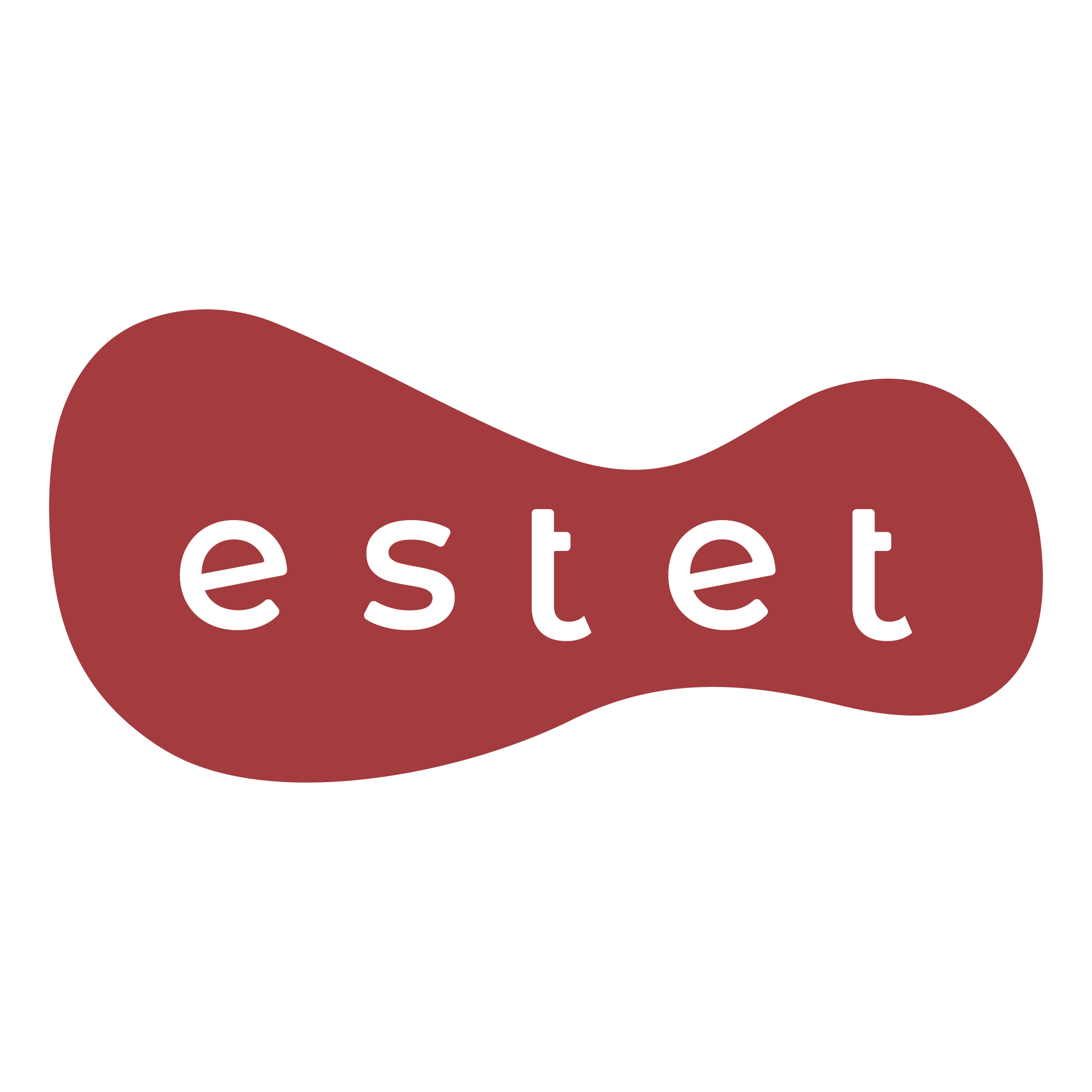 Estet - разработка пакета франшизы